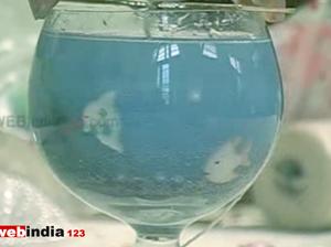 Gel Candle Making